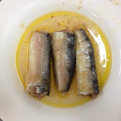 Canned Sardines in Vegetable Oil